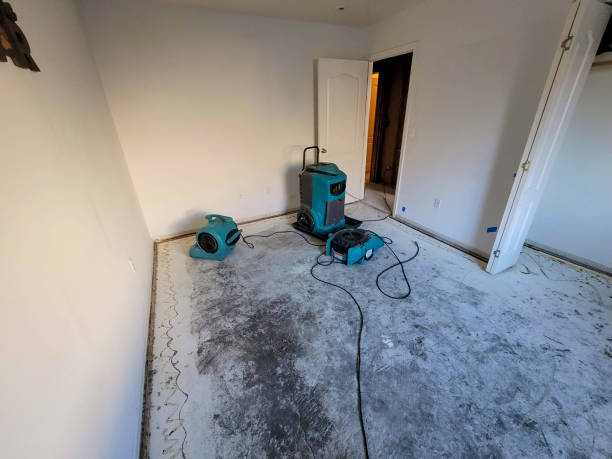 Best Water damage restoration company  in Guthrie, OK